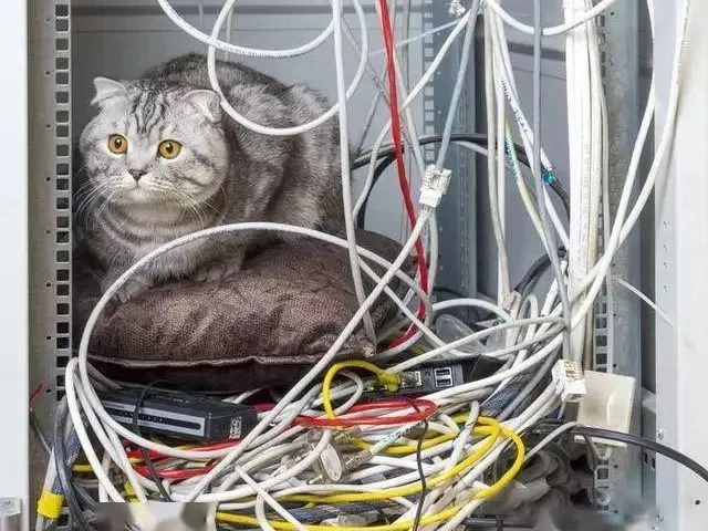 info-640-480 info-640-480