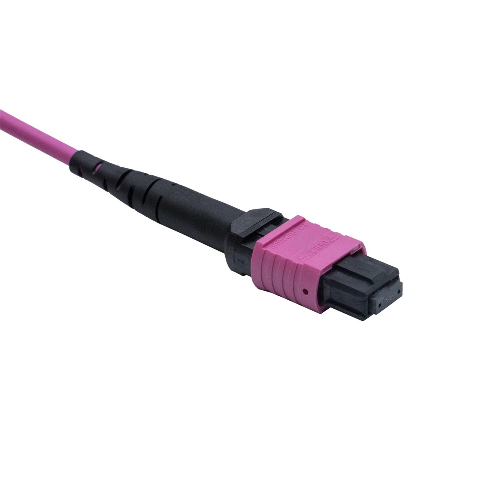 3m LSZH OM4 12-Core Multimode Fiber Optic MPO Patch Cord price