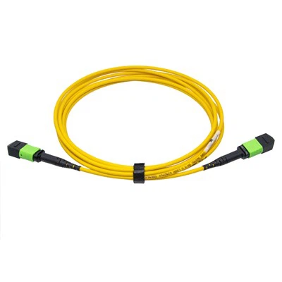 Cavo trunk MPO Patch Cord monomodale da 12-fibra preterminato da 3,0 mm